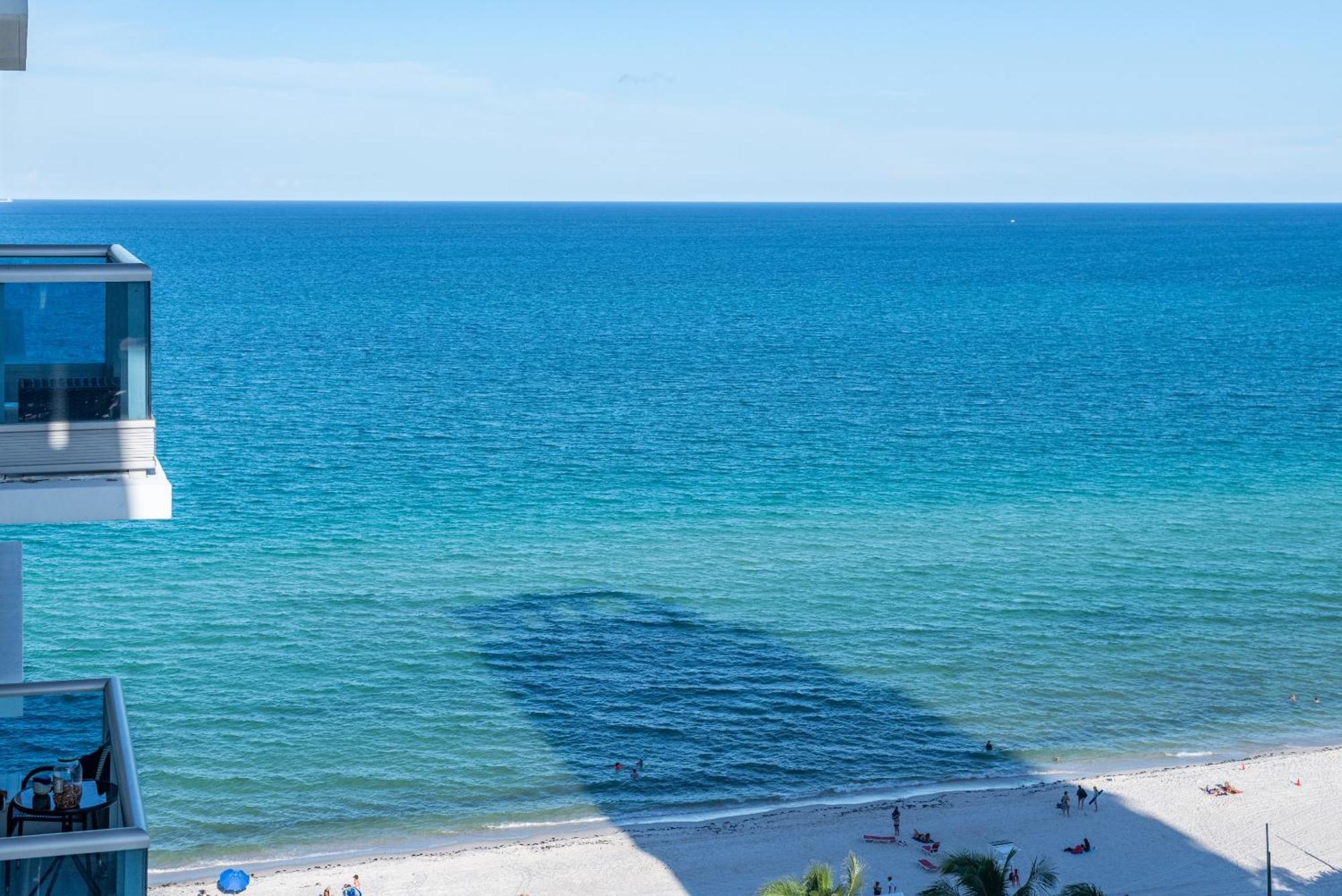 Bluebird Suites Monte Carlo 迈阿密海滩 客房 照片